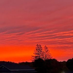 Meet your Posher, Livia